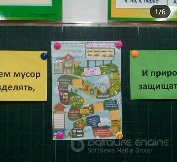 ECO BOLASHAK